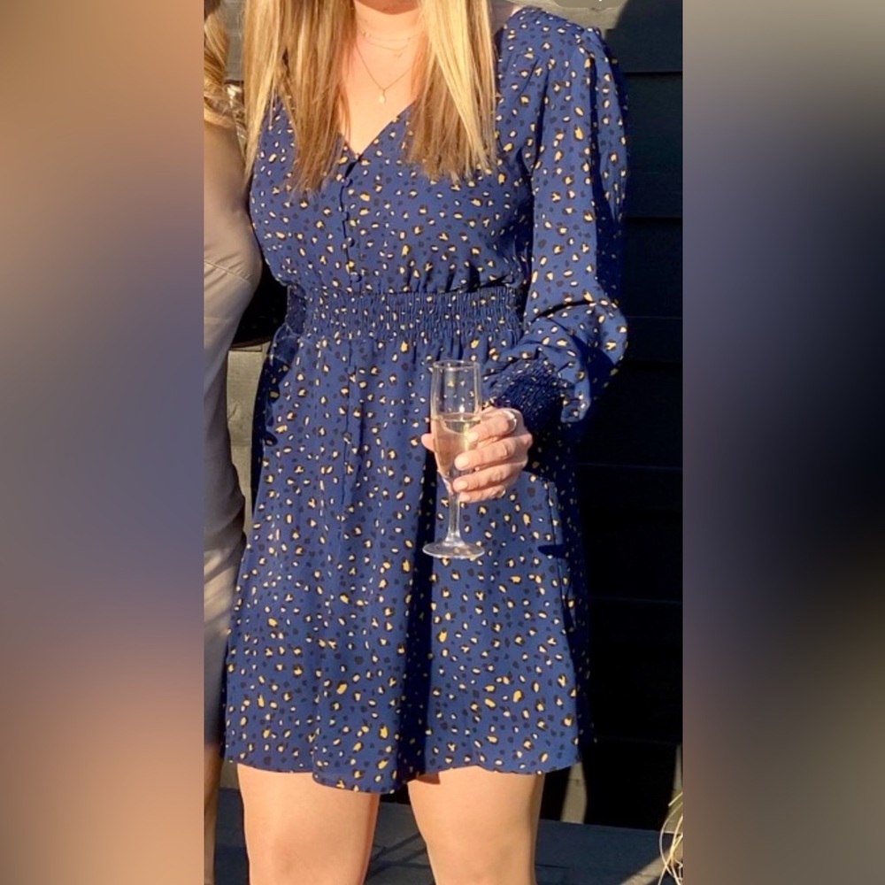 BB Dakota Long sleeve blue leopard dress
